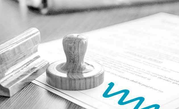 certificacão new words